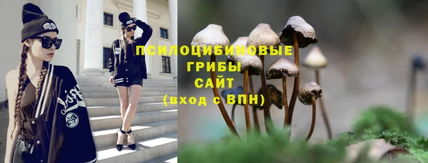 марки lsd Беломорск