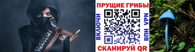 Купить закладки  Дальнереченск  Галлюциногенные грибы прущие грибы 